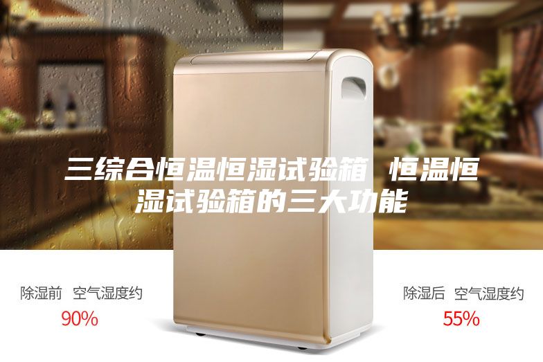三综合恒温恒湿试验箱 恒温恒湿试验箱的三大功能