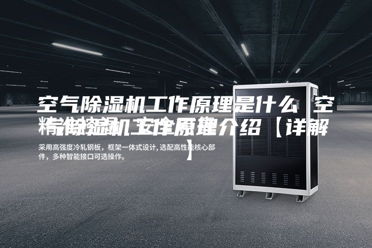 空气除湿机工作原理是什么 空气除湿机工作原理介绍【详解】