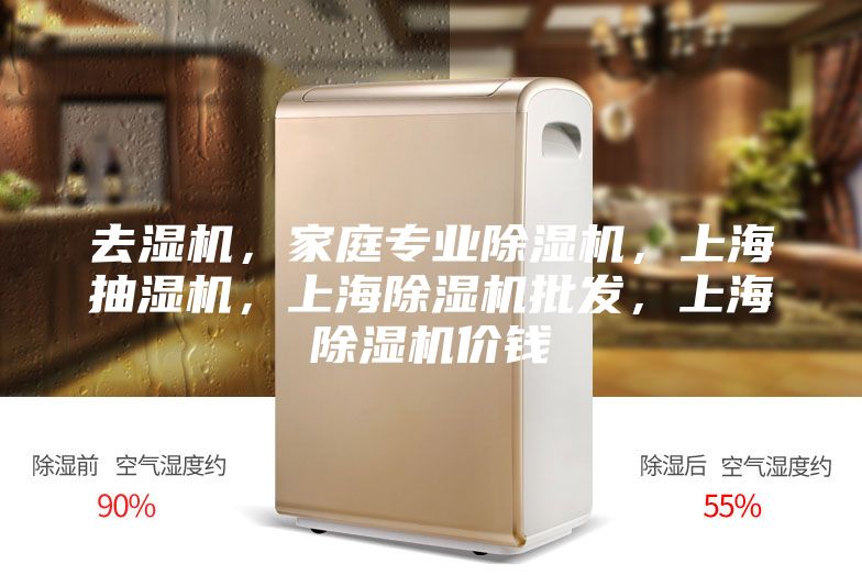 去湿机，家庭专业除湿机，上海抽湿机，上海除湿机批发，上海除湿机价钱