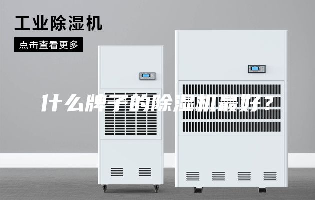 什么牌子的除湿机最好？