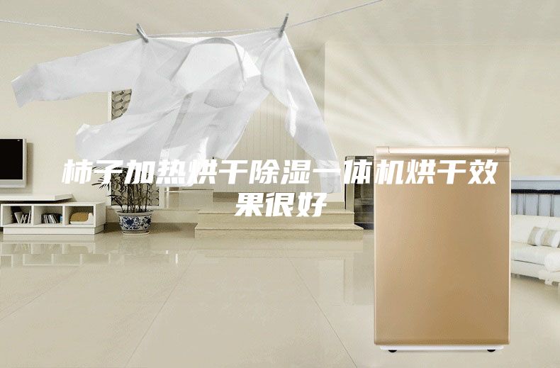 柿子加热烘干除湿一体机烘干效果很好