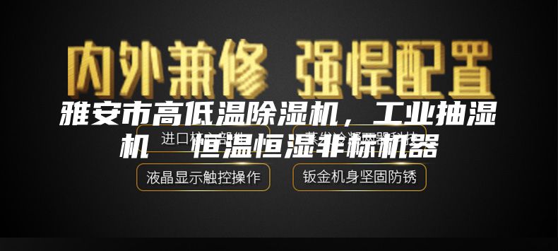 雅安市高低温除湿机，工业抽湿机  恒温恒湿非标机器