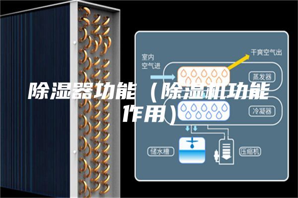 除湿器功能（除湿机功能作用）