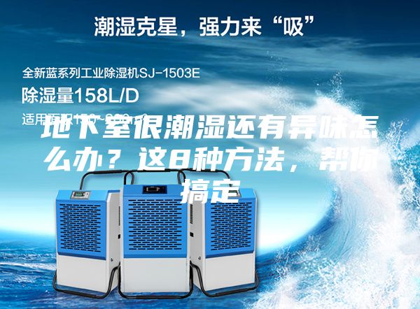 地下室很潮湿还有异味怎么办？这8种方法，帮你搞定