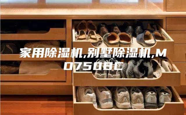 家用除湿机,别墅除湿机,MO750BC