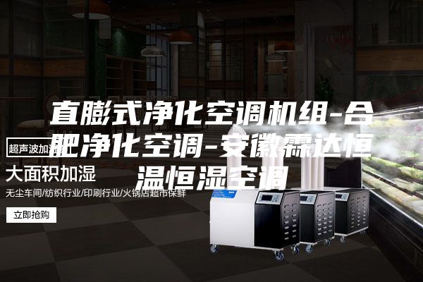 直膨式净化空调机组-合肥净化空调-安徽霖达恒温恒湿空调