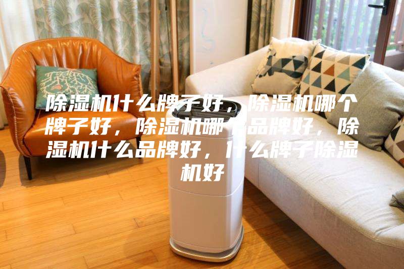 除湿机什么牌子好，除湿机哪个牌子好，除湿机哪个品牌好，除湿机什么品牌好，什么牌子除湿机好