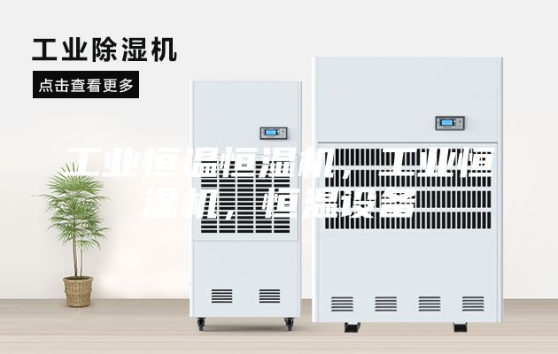 工业恒温恒湿机，工业恒湿机，恒温设备