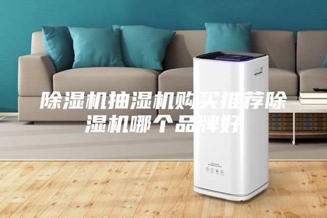 除湿机抽湿机购买推荐除湿机哪个品牌好