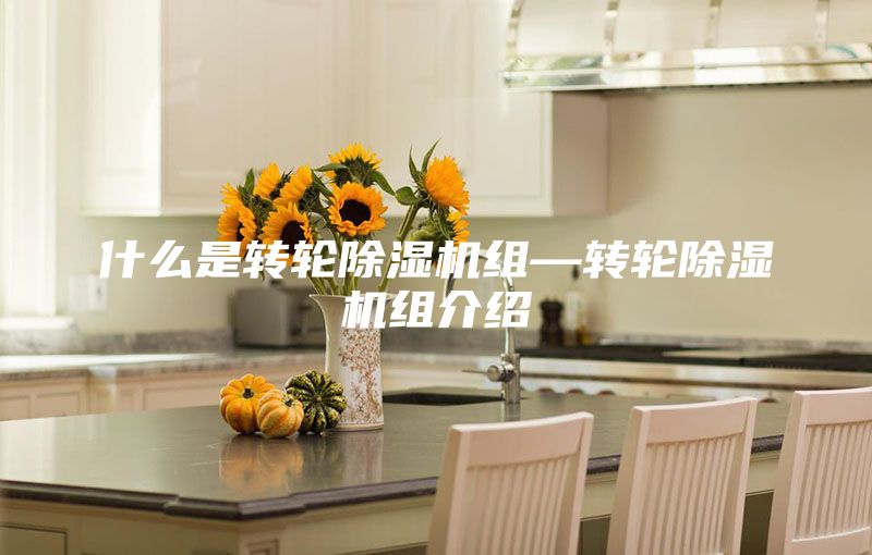 什么是转轮除湿机组—转轮除湿机组介绍