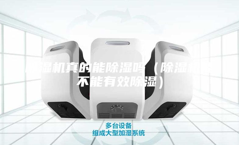 除湿机真的能除湿吗（除湿机能不能有效除湿）