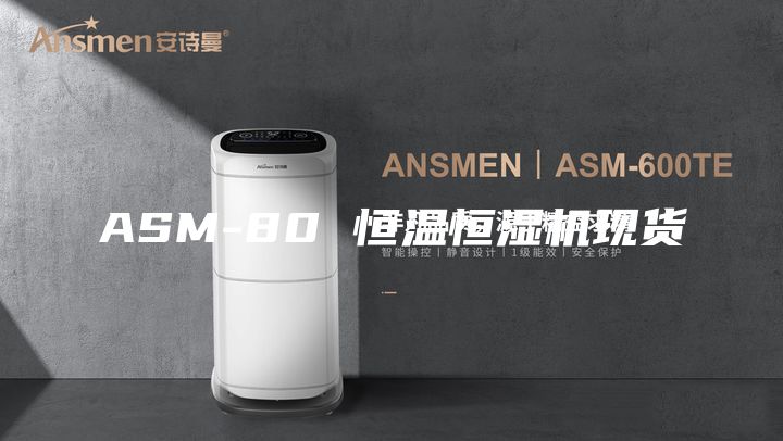 ASM-80 恒温恒湿机现货