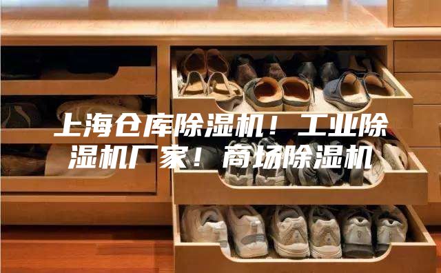 上海仓库除湿机！工业除湿机厂家！商场除湿机