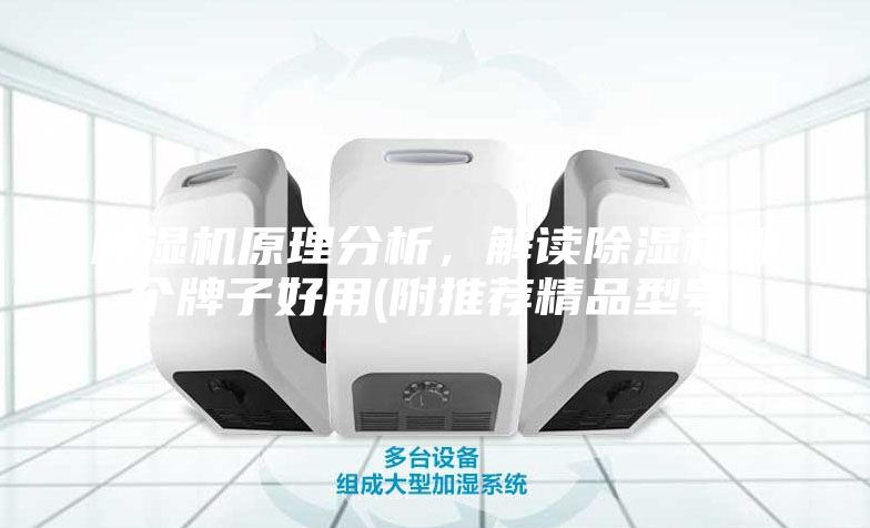 除湿机原理分析，解读除湿机哪个牌子好用(附推荐精品型号)