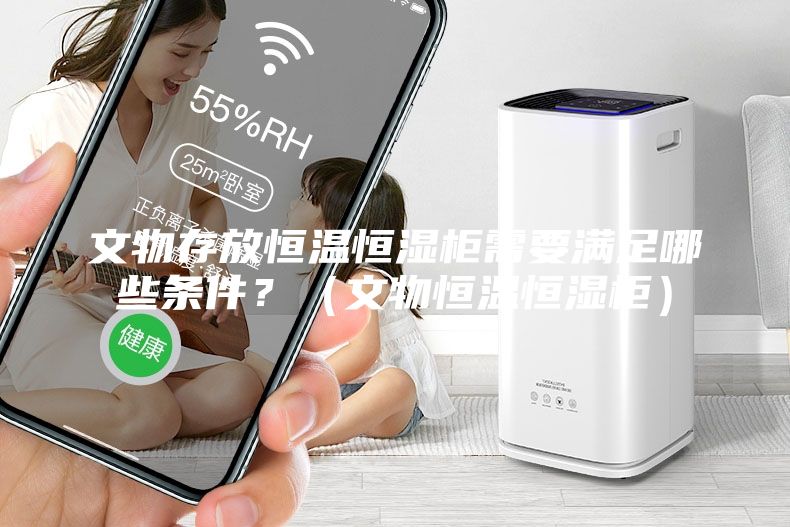 文物存放恒温恒湿柜需要满足哪些条件？（文物恒温恒湿柜）