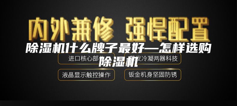 除湿机什么牌子最好—怎样选购除湿机