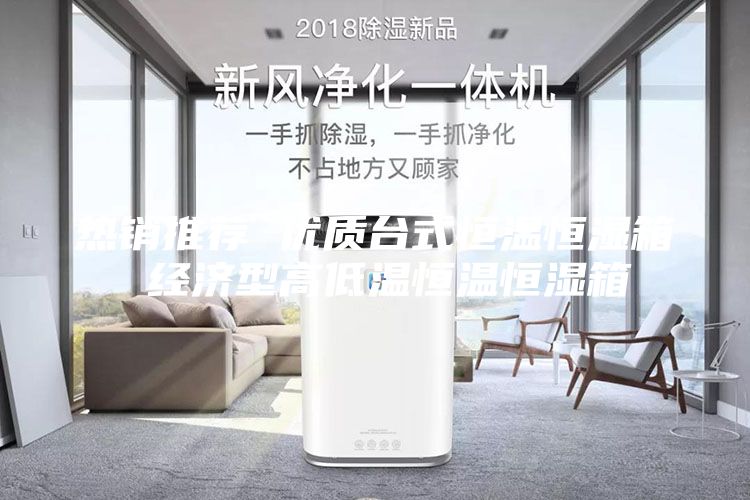 热销推荐 优质台式恒温恒湿箱 经济型高低温恒温恒湿箱
