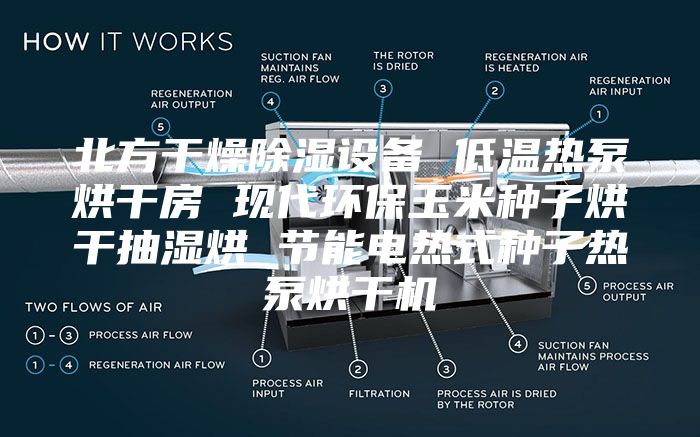 北方干燥除湿设备 低温热泵烘干房 现代环保玉米种子烘干抽湿烘 节能电热式种子热泵烘干机