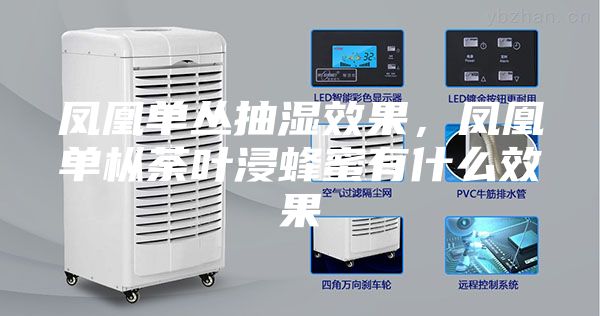 凤凰单丛抽湿效果，凤凰单枞荼叶浸蜂蜜有什么效果