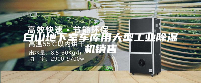 白山地下室车库用大型工业除湿机销售