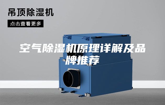空气除湿机原理详解及品牌推荐