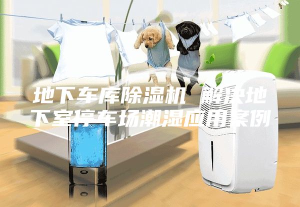 地下车库除湿机 解决地下室停车场潮湿应用案例
