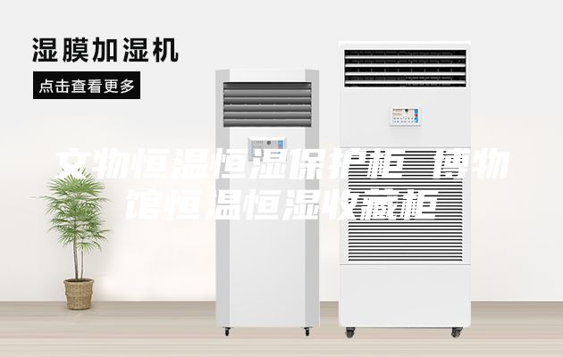 文物恒温恒湿保护柜 博物馆恒温恒湿收藏柜