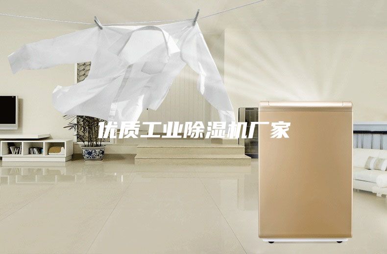 优质工业除湿机厂家