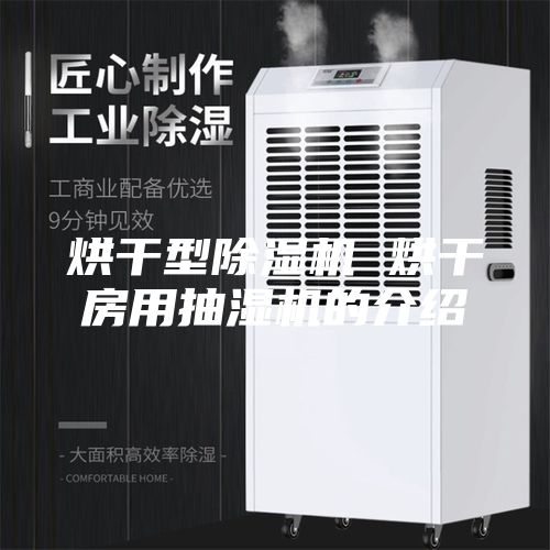 烘干型除湿机 烘干房用抽湿机的介绍
