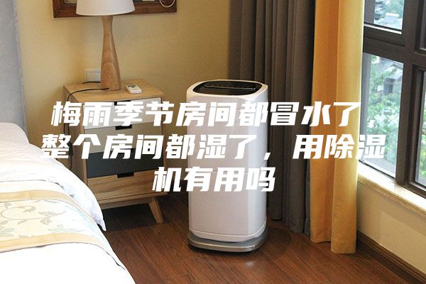 梅雨季节房间都冒水了，整个房间都湿了，用除湿机有用吗