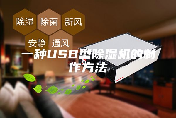 一种USB型除湿机的制作方法