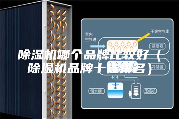 除湿机哪个品牌比较好（除湿机品牌十佳排名）