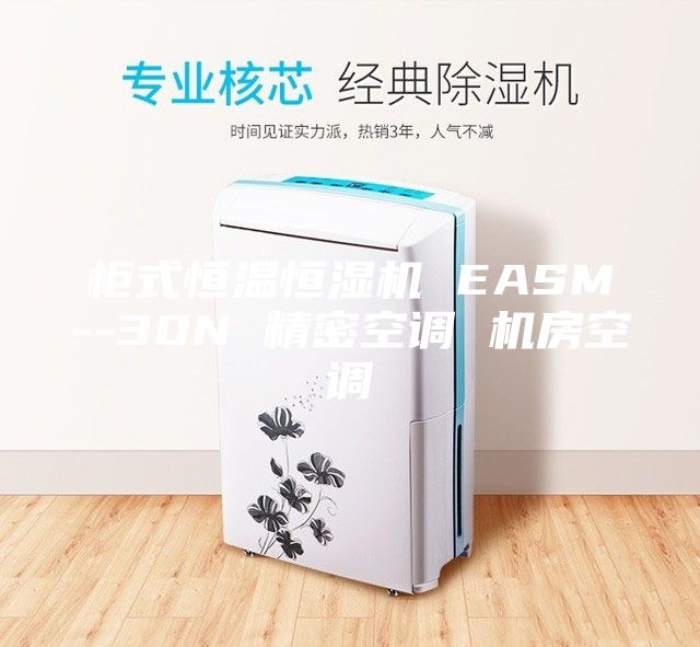 柜式恒温恒湿机 EASM--30N 精密空调 机房空调