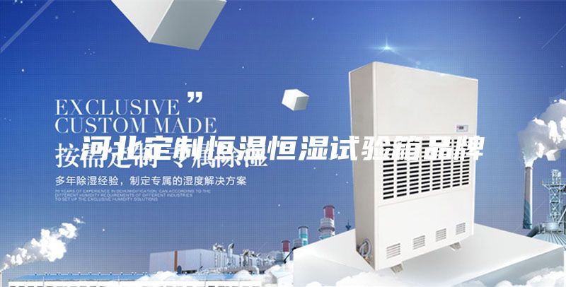 河北定制恒温恒湿试验箱品牌