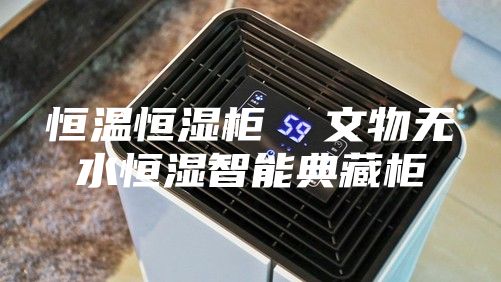 恒温恒湿柜  文物无水恒湿智能典藏柜
