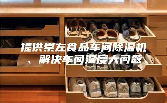 提供崇左食品车间除湿机、解决车间湿度大问题