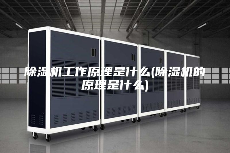 除湿机工作原理是什么(除湿机的原理是什么)