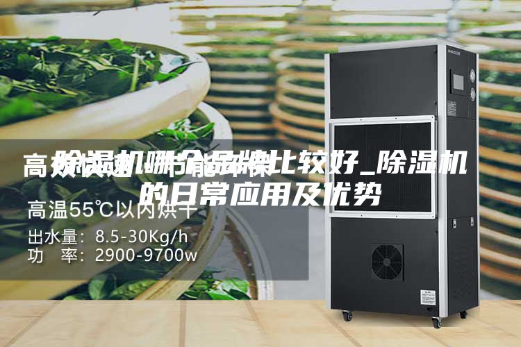 除湿机哪个品牌比较好_除湿机的日常应用及优势