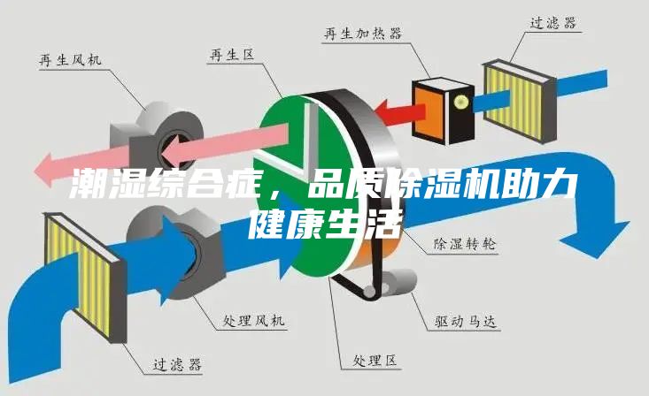潮湿综合症，品质除湿机助力健康生活