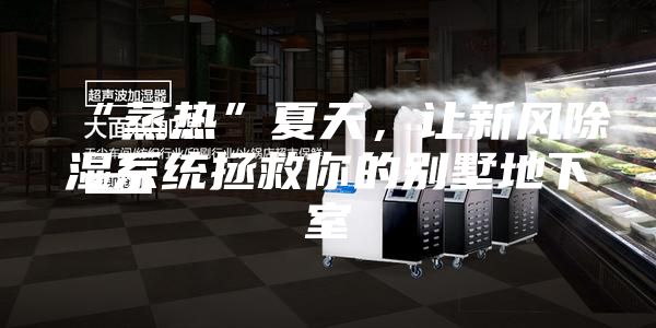 “蒸热”夏天，让新风除湿系统拯救你的别墅地下室