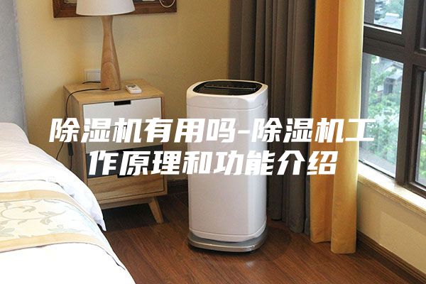 除湿机有用吗-除湿机工作原理和功能介绍