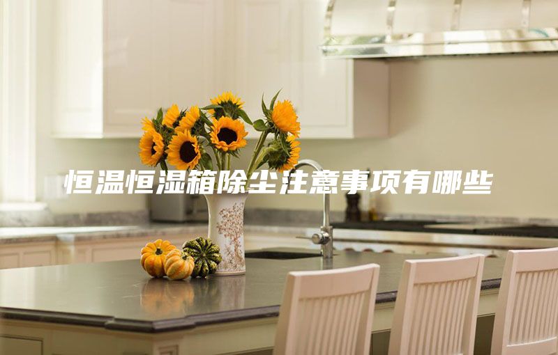 恒温恒湿箱除尘注意事项有哪些