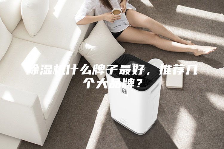 除湿机什么牌子最好，推荐几个大品牌？