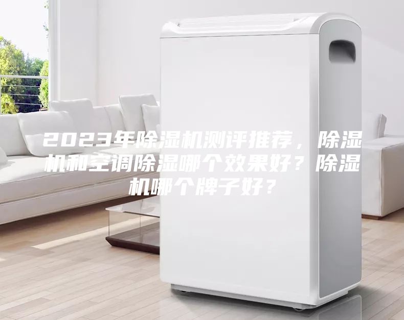 2023年除湿机测评推荐，除湿机和空调除湿哪个效果好？除湿机哪个牌子好？