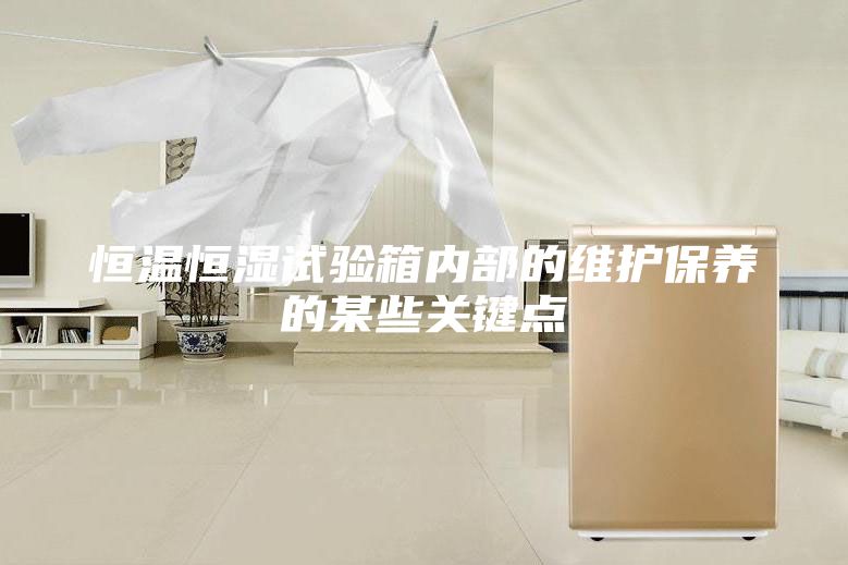 恒温恒湿试验箱内部的维护保养的某些关键点