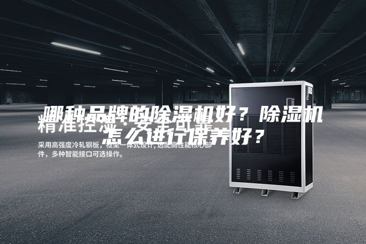 哪种品牌的除湿机好？除湿机怎么进行保养好？