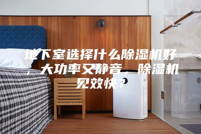 地下室选择什么除湿机好，大功率又静音，除湿机见效快？