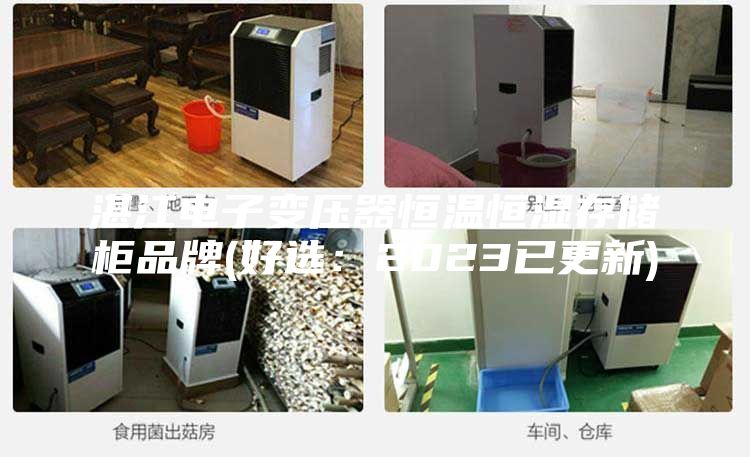 湛江电子变压器恒温恒湿存储柜品牌(好选：2023已更新)