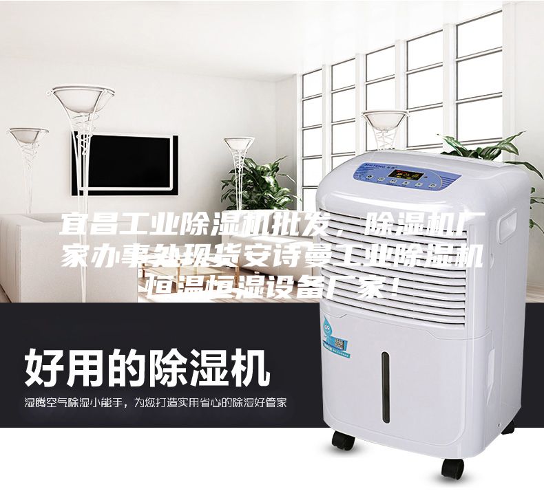 宜昌工业除湿机批发，除湿机厂家办事处现货安诗曼工业除湿机恒温恒湿设备厂家！