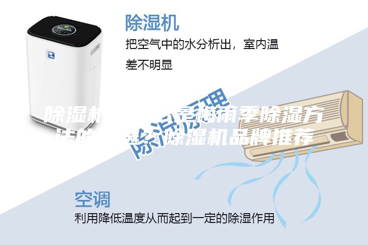 除湿机为什么是梅雨季除湿方法的首选？除湿机品牌推荐